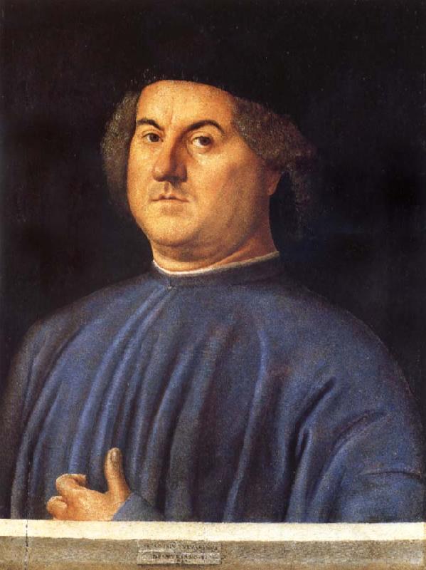 VIVARINI, Alvise Portrait of A Man oil painting image